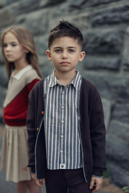 Leo Stripe Shirt - Brown