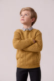 Sean Cable Knit Sweater - Mustard